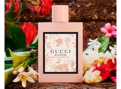 gucci perfume her|perfume gucci culti.